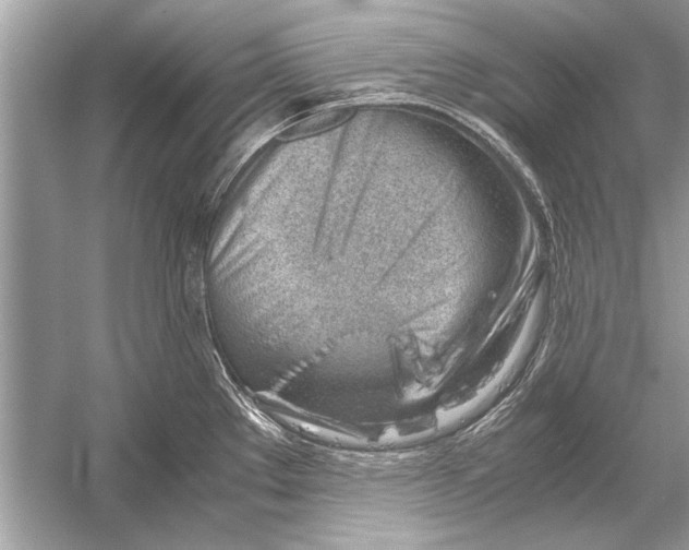 X0000051911289200507222058