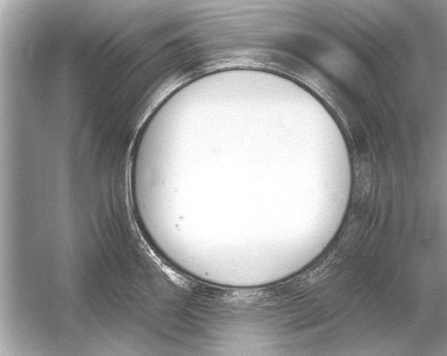 X0000051911290200507222058