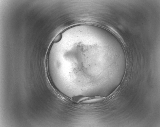 X0000051911291200507222058