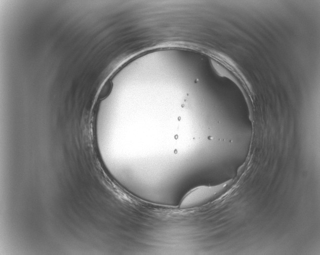 X0000051911292200507222058