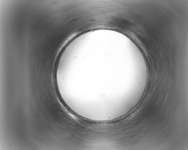 X0000051911293200507222058