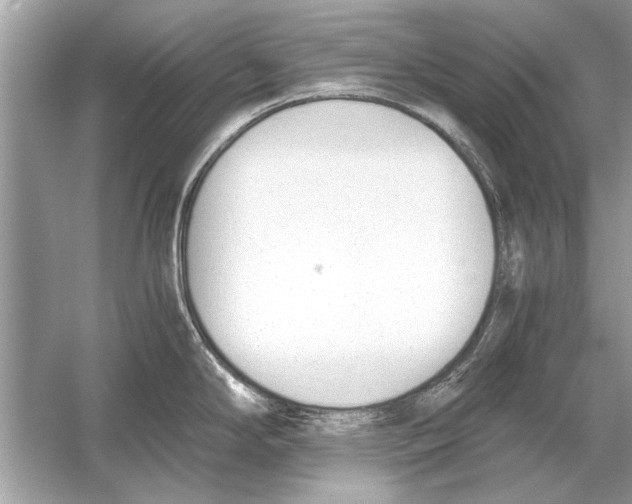 X0000051911294200507222058