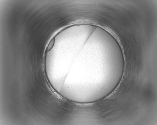 X0000051911296200507222058