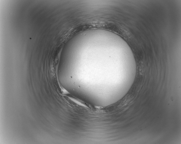 X0000051911298200507222057