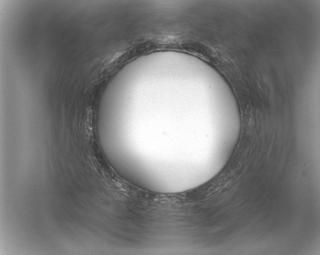 X0000051911301200507222057