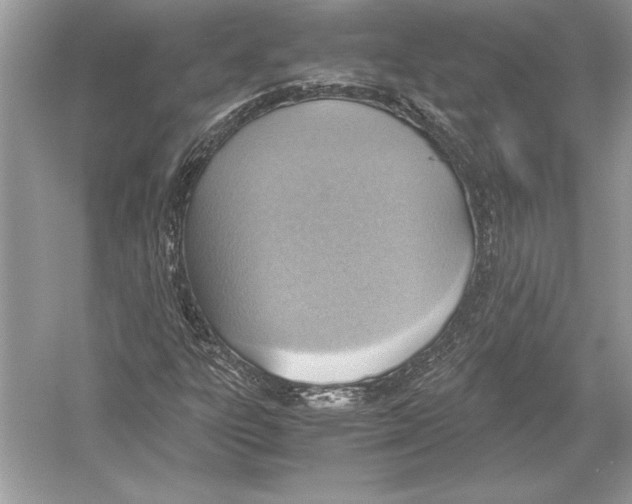 X0000051911303200507222057