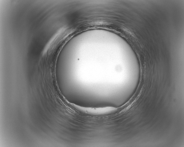 X0000051911305200507222057