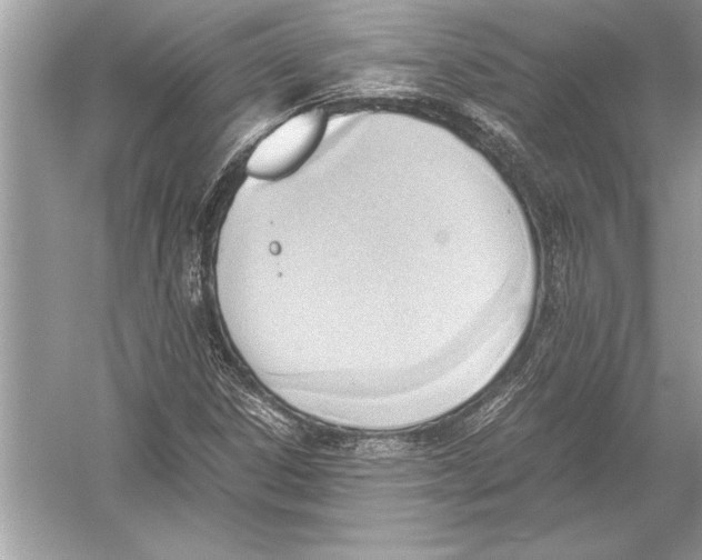 X0000051911306200507222057