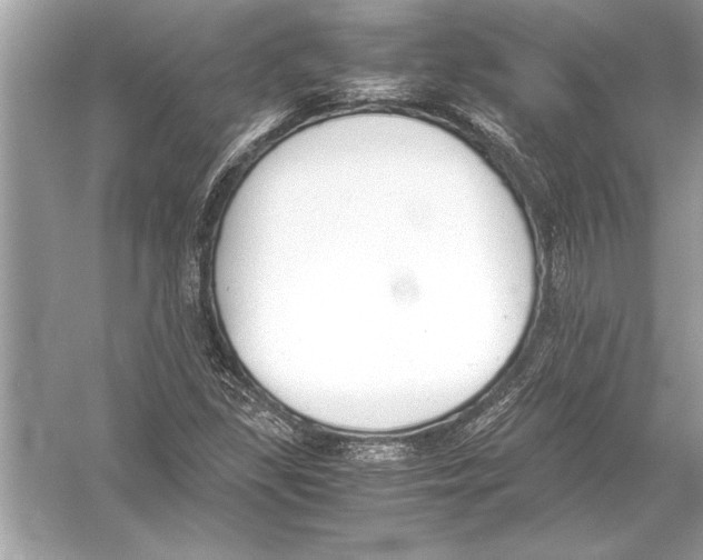 X0000051911309200507222058