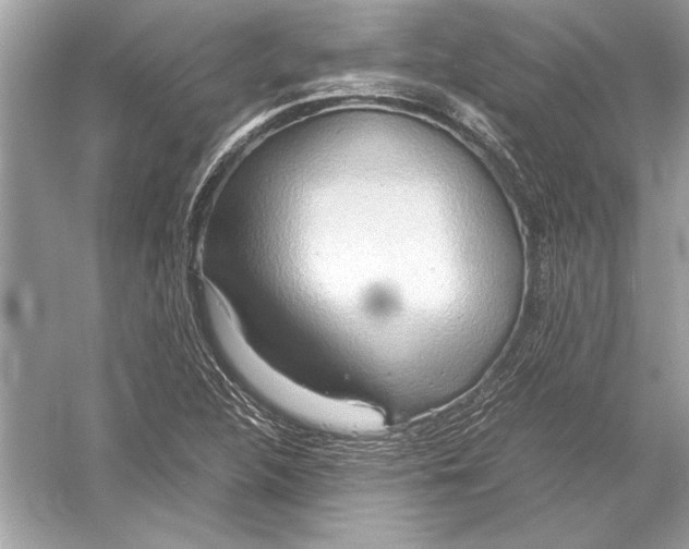 X0000051911312200507222058