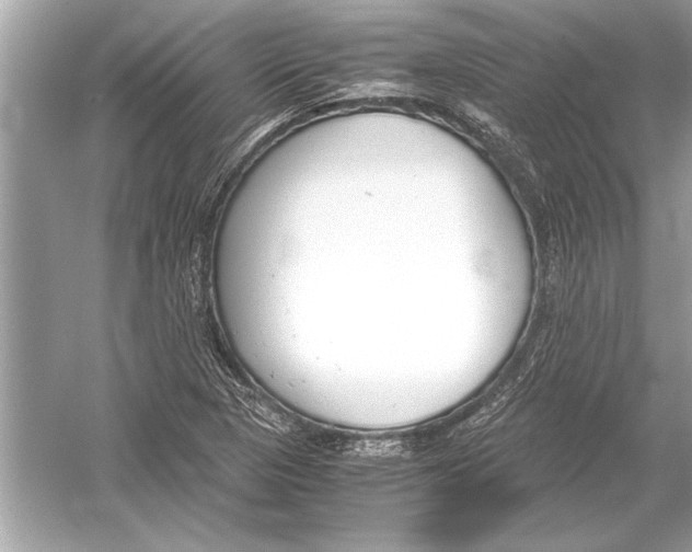 X0000051911313200507222058