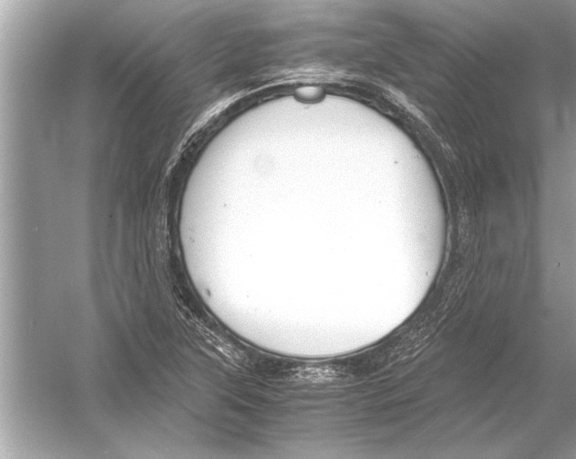 X0000051911315200507222058