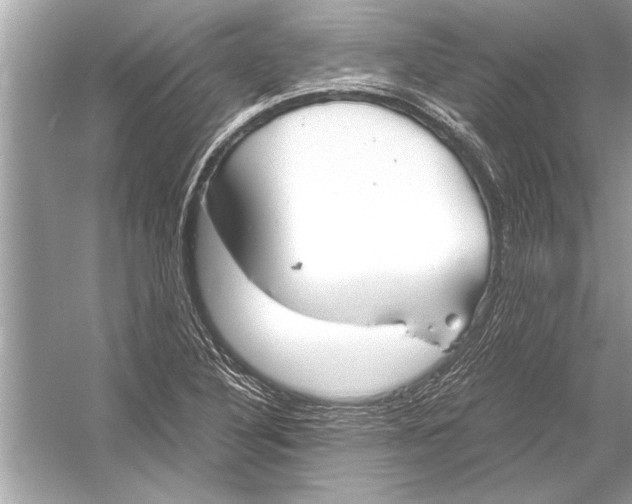 X0000051911316200507222058