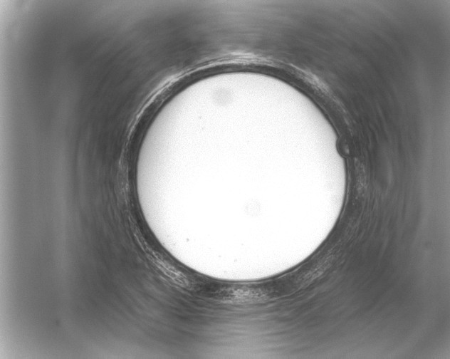 X0000051911318200507222058