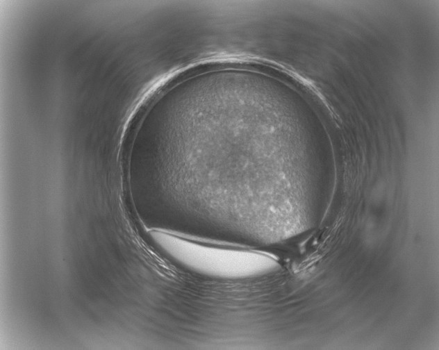 X0000051911319200507222058