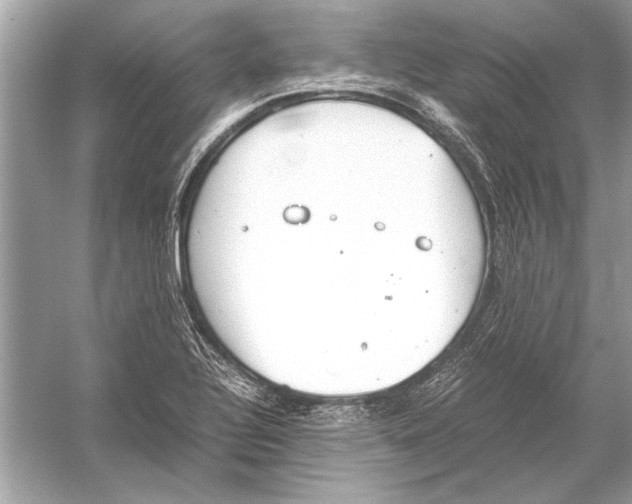 X0000051911320200507222058