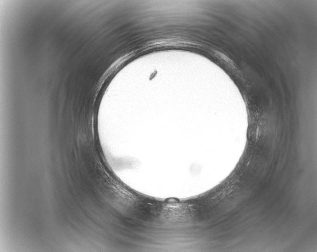 X0000051911322200507222058