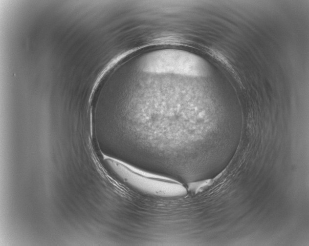 X0000051911323200507222058