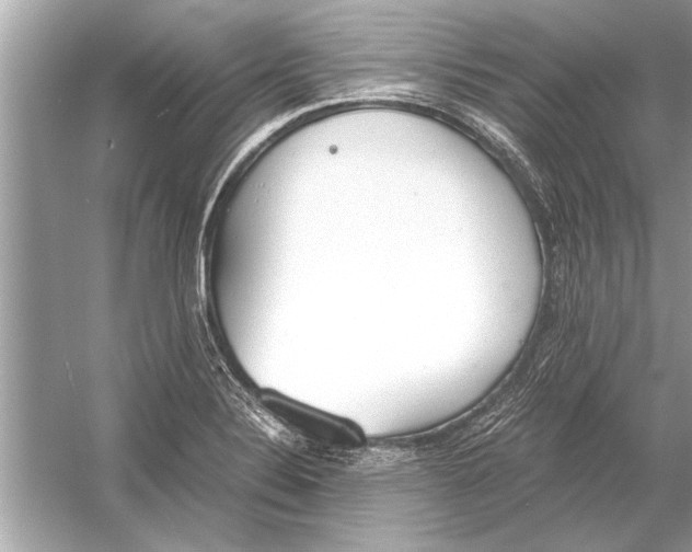 X0000051911324200507222058