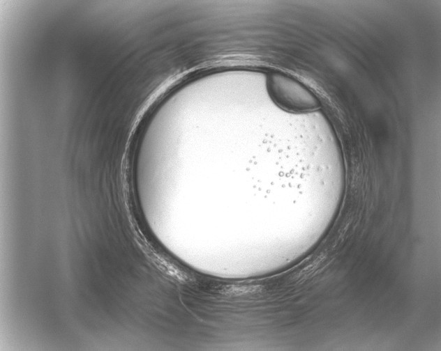 X0000051911325200507222058