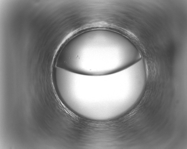 X0000051911326200507222058