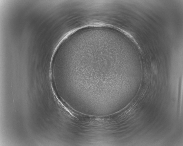 X0000051911327200507222058