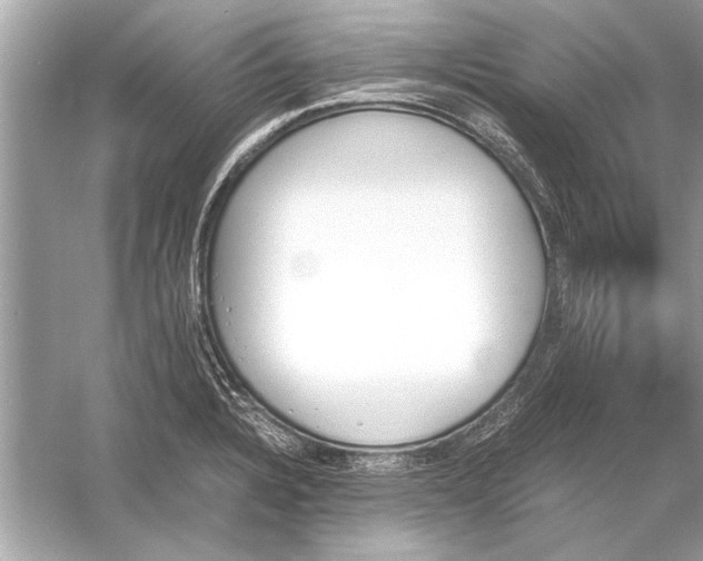 X0000051911328200507222058