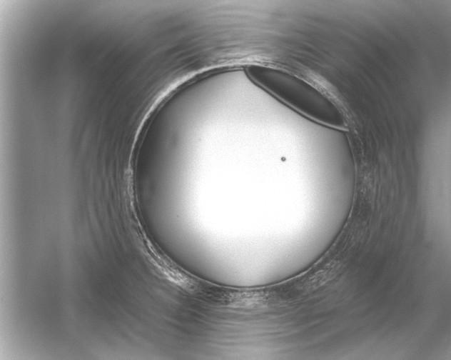 X0000051911332200507222058