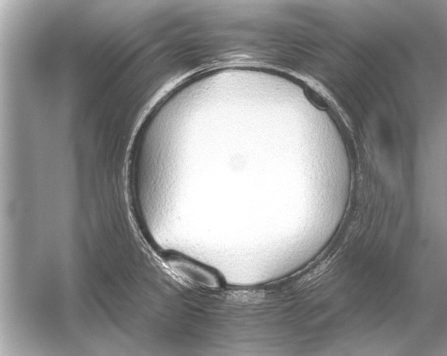 X0000051911333200507222058