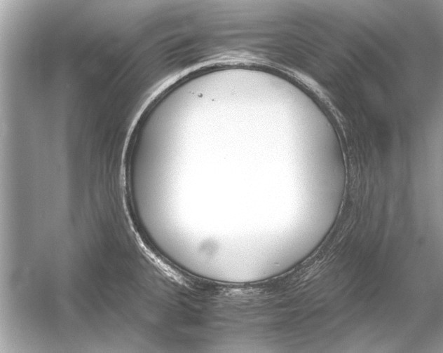 X0000051911335200507222058