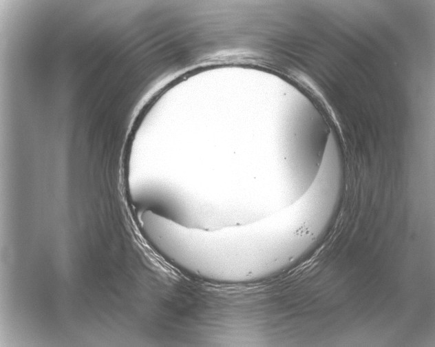 X0000051911336200507222058