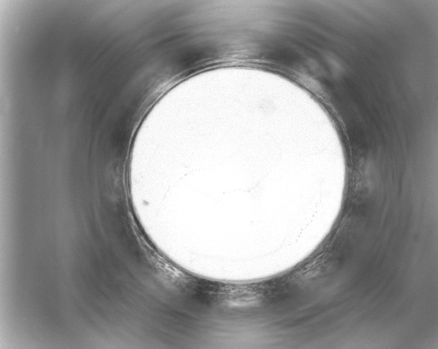 X0000051911338200507222058