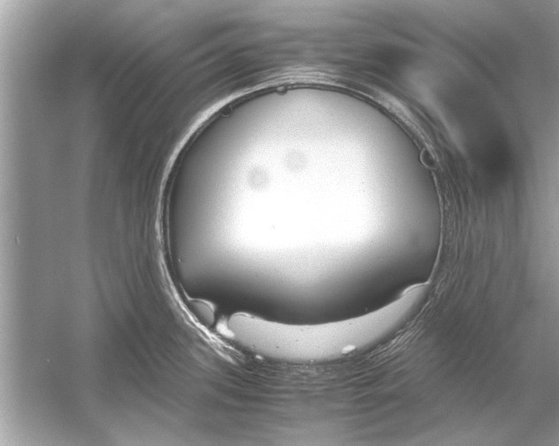 X0000051911339200507222058