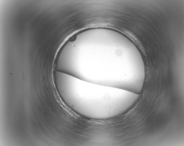 X0000051911340200507222058