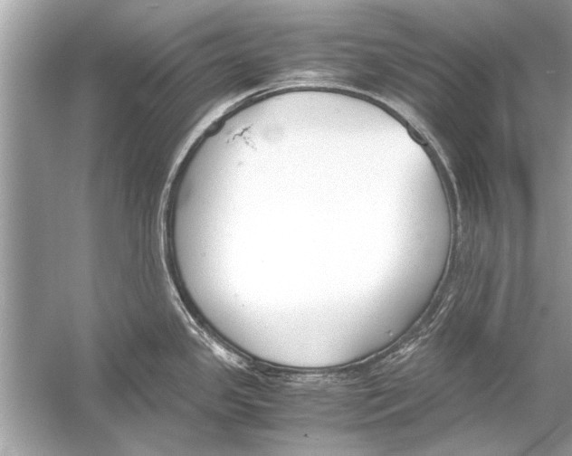 X0000051911341200507222058