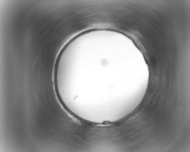 X0000051911343200507222058