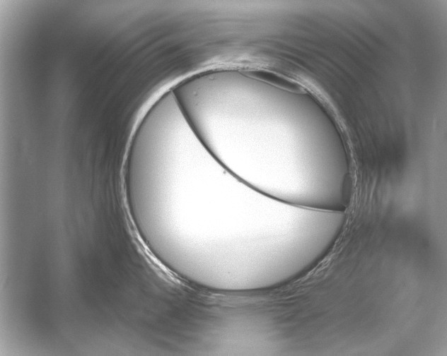 X0000051911344200507222058