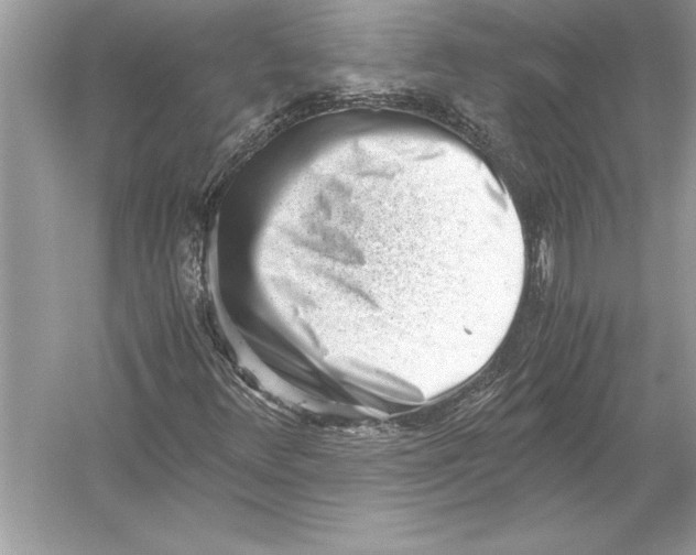 X0000051911348200507222057