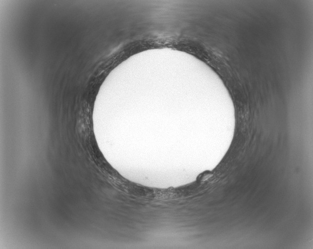 X0000051911349200507222057