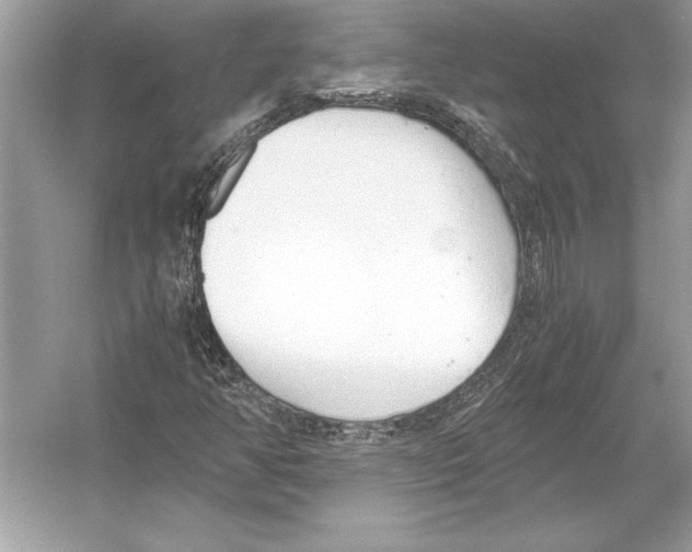 X0000051911350200507222057