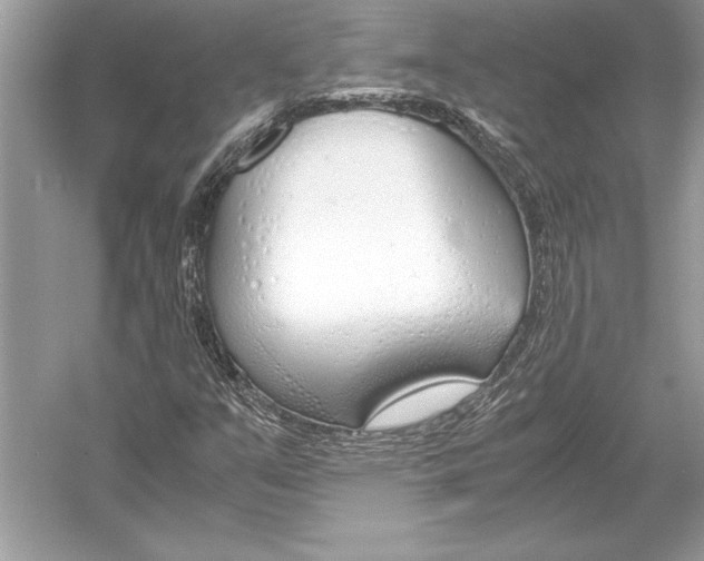 X0000051911351200507222057