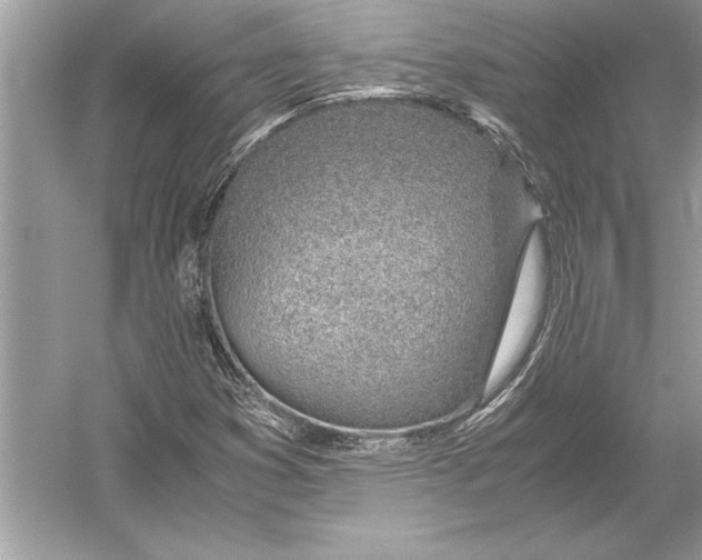 X0000051911353200507222057