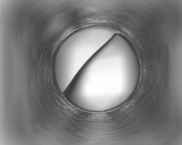 X0000051911354200507222057