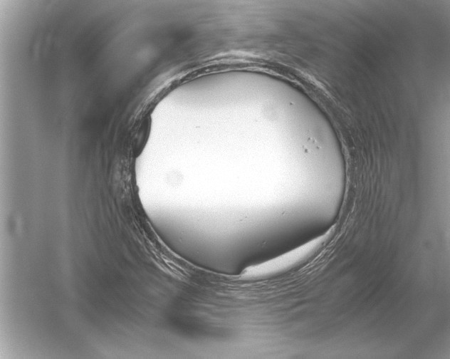 X0000051911355200507222057