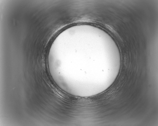 X0000051911356200507222057