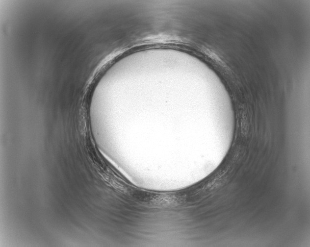 X0000051911358200507222057