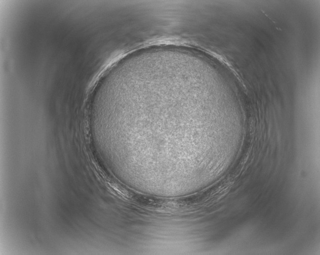 X0000051911359200507222057