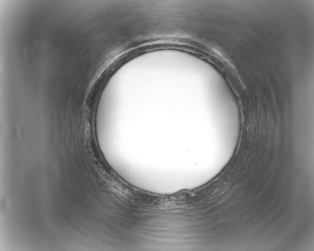 X0000051911360200507222057