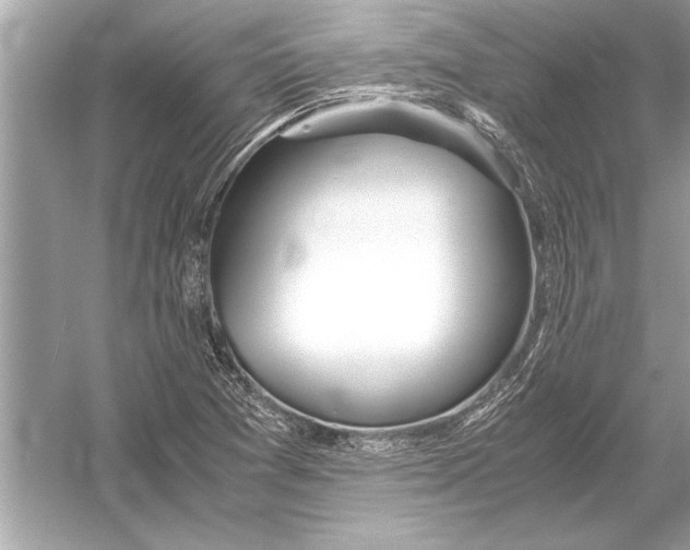 X0000051911361200507222057