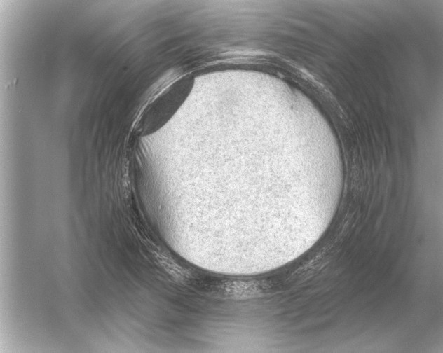 X0000051911362200507222057